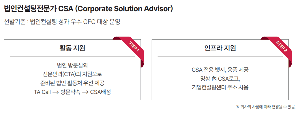 법인 컨설팅 전문가 CSA 지원 조직
