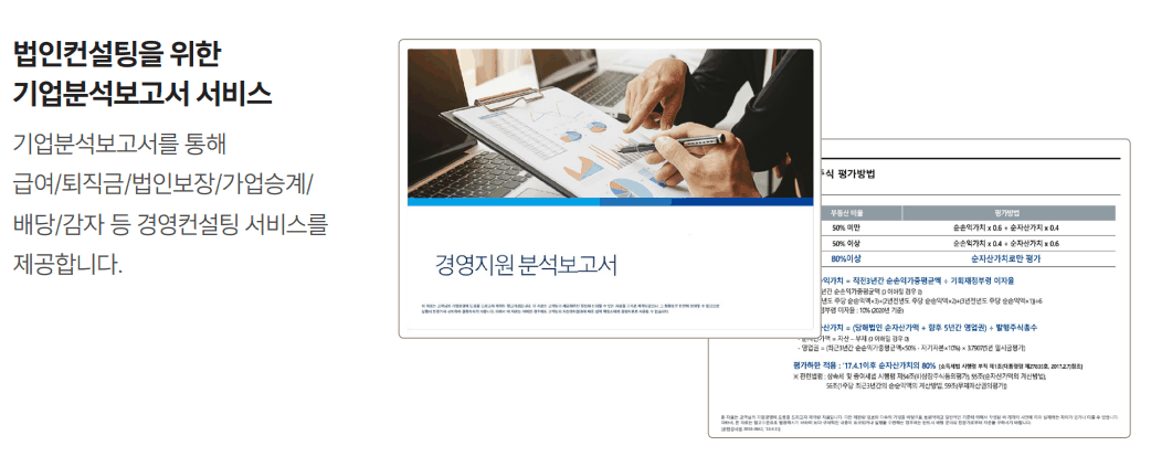 법인 컨설팅을 위한 기업분석보고서 서비스
